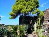 (59)  Aci Castello.JPG